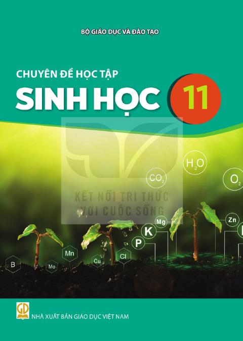 Sách giáo khoa Chuyên đề học tập Sinh học 11 - Kết nối tri thức 2026-2027